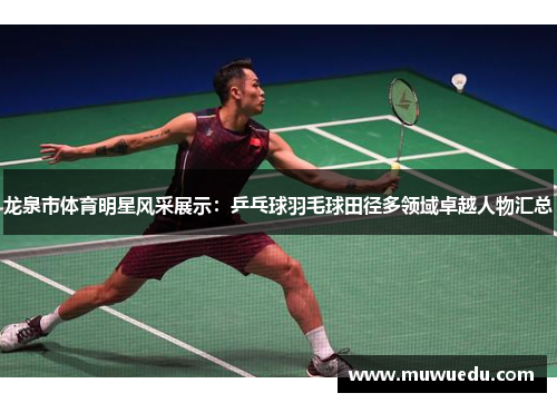 龙泉市体育明星风采展示：乒乓球羽毛球田径多领域卓越人物汇总
