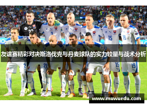 友谊赛精彩对决斯洛伐克与丹麦球队的实力较量与战术分析